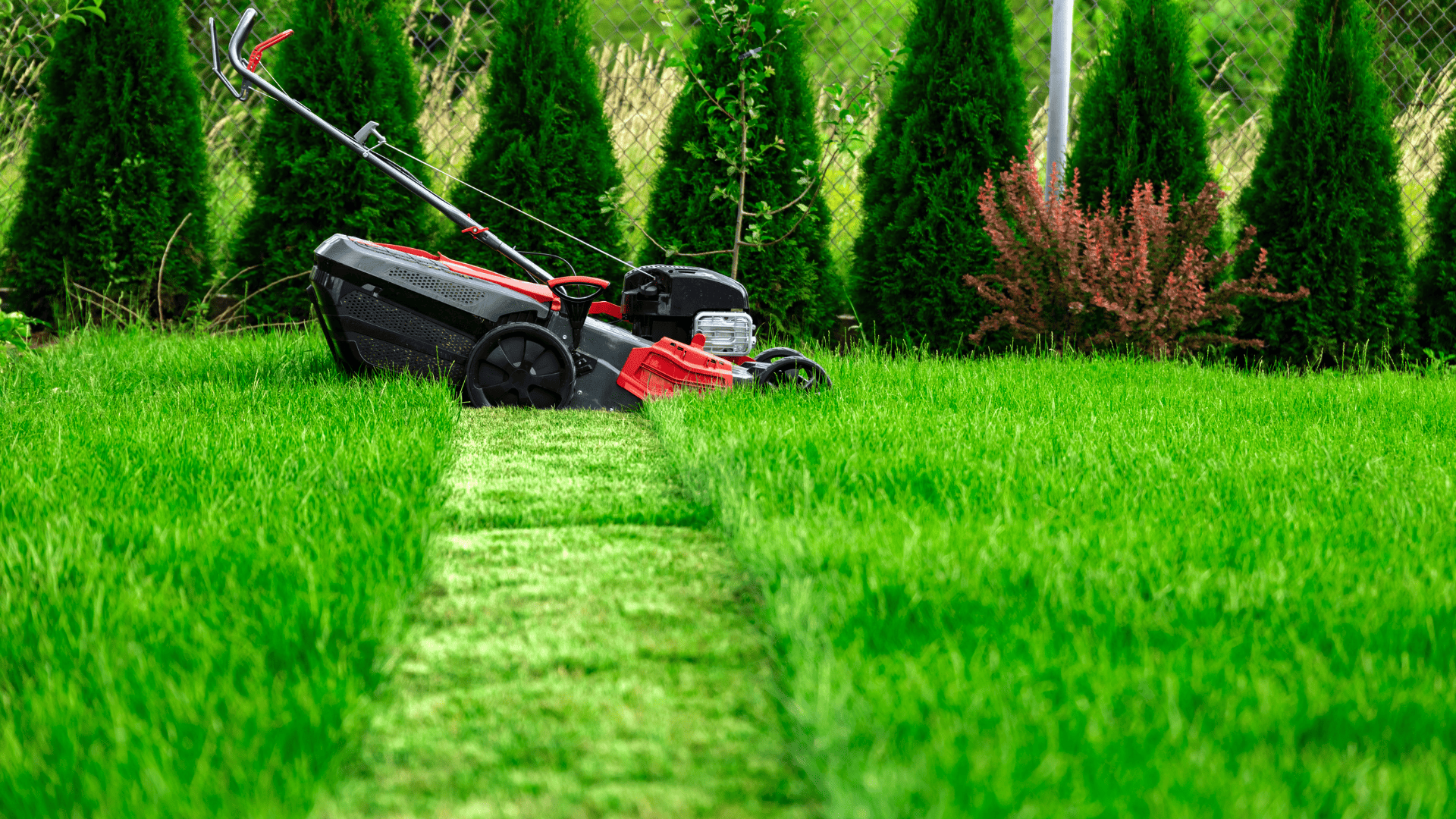  Lawn Mowing