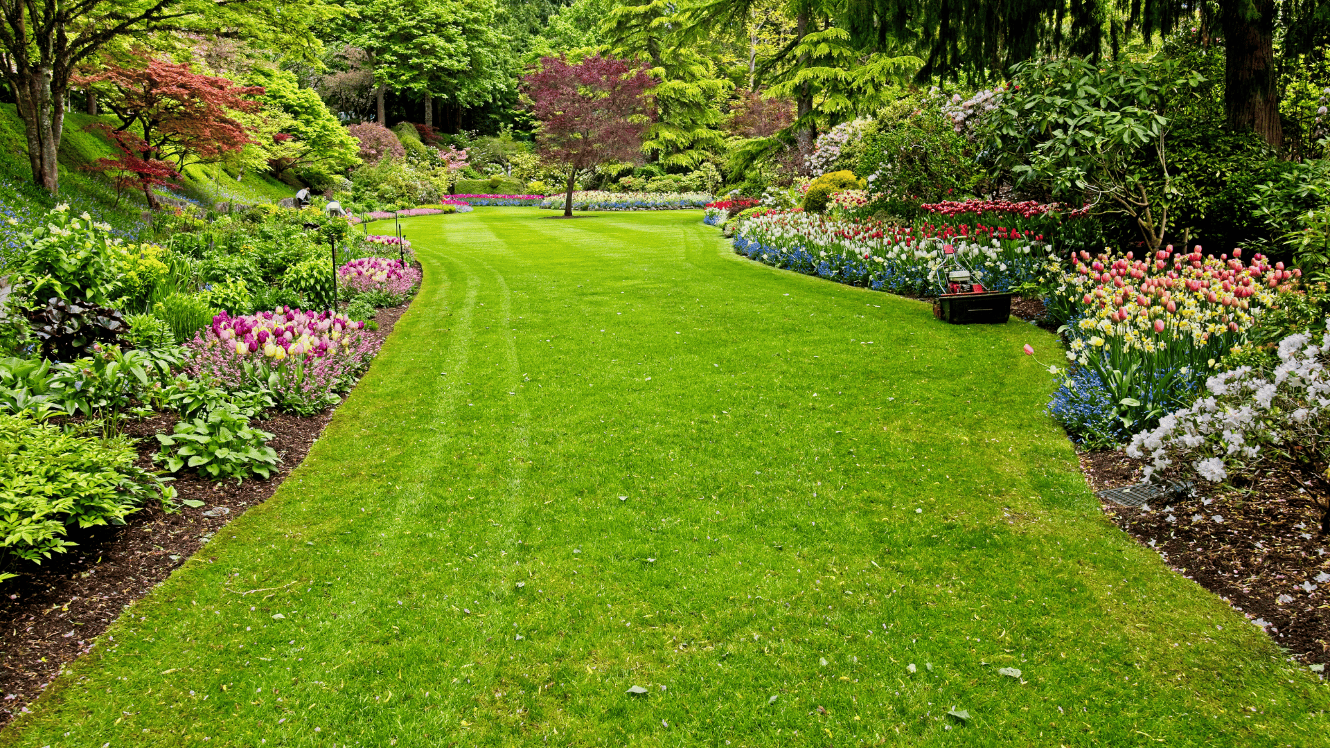  Lawn Mowing