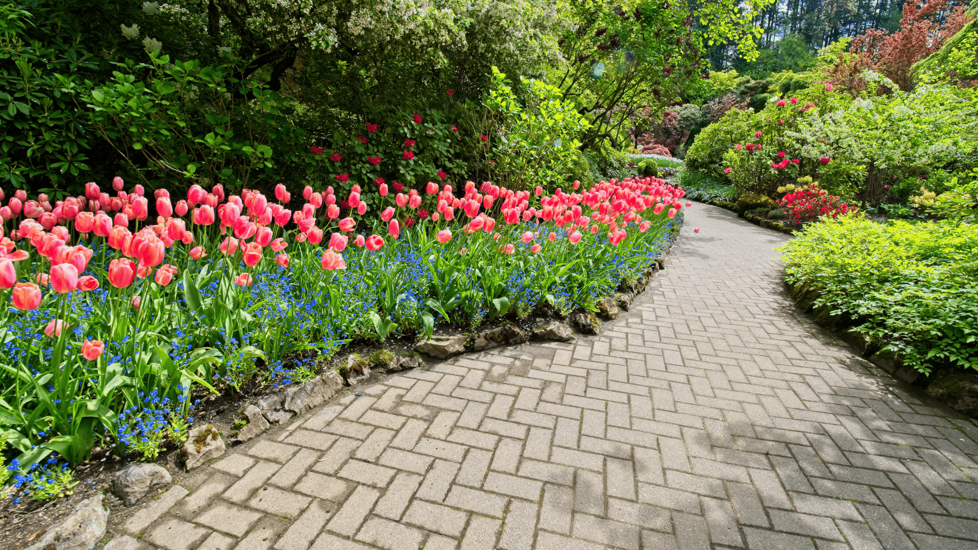  Mulch & Stone