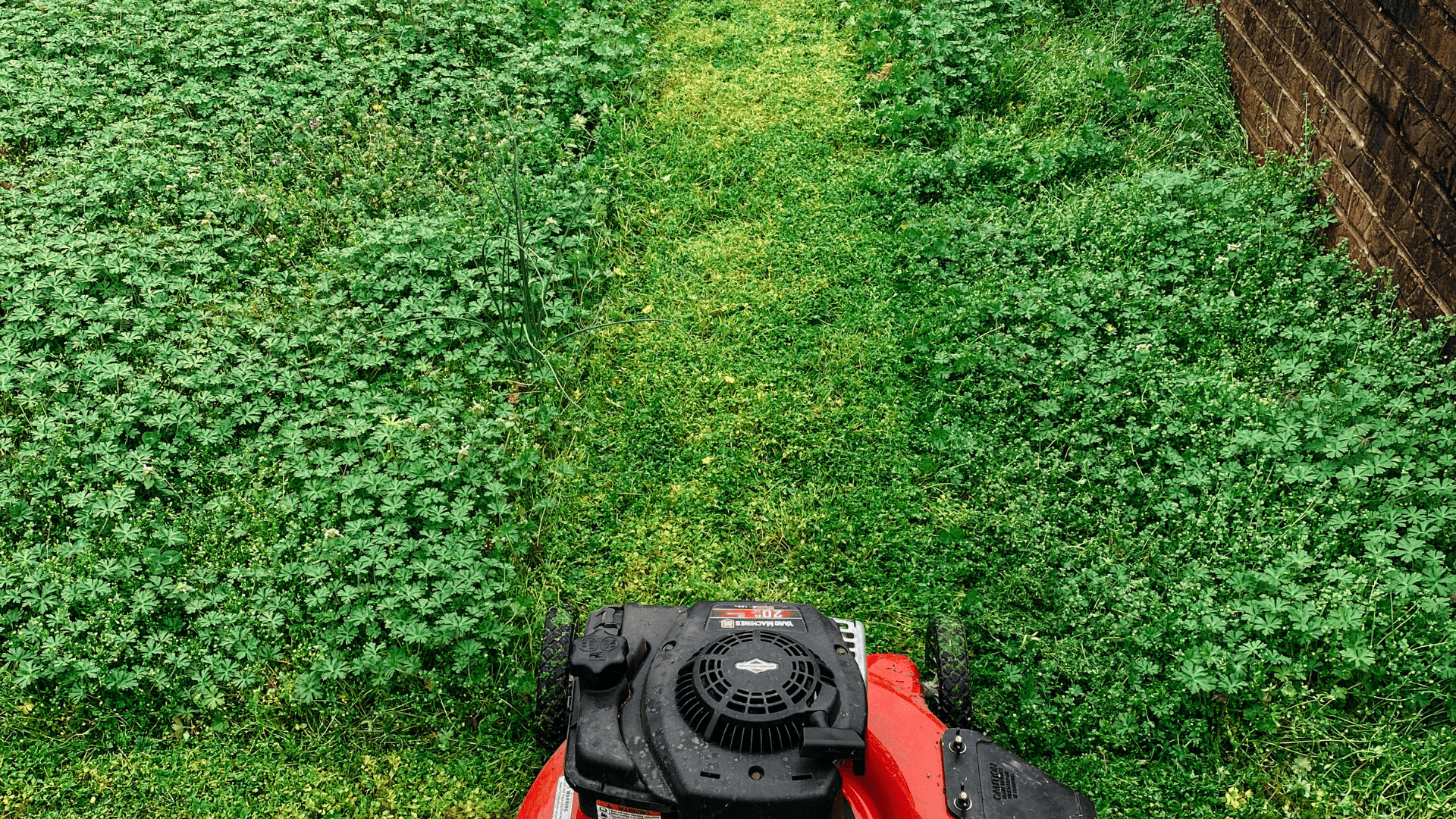  Lawn Mowing