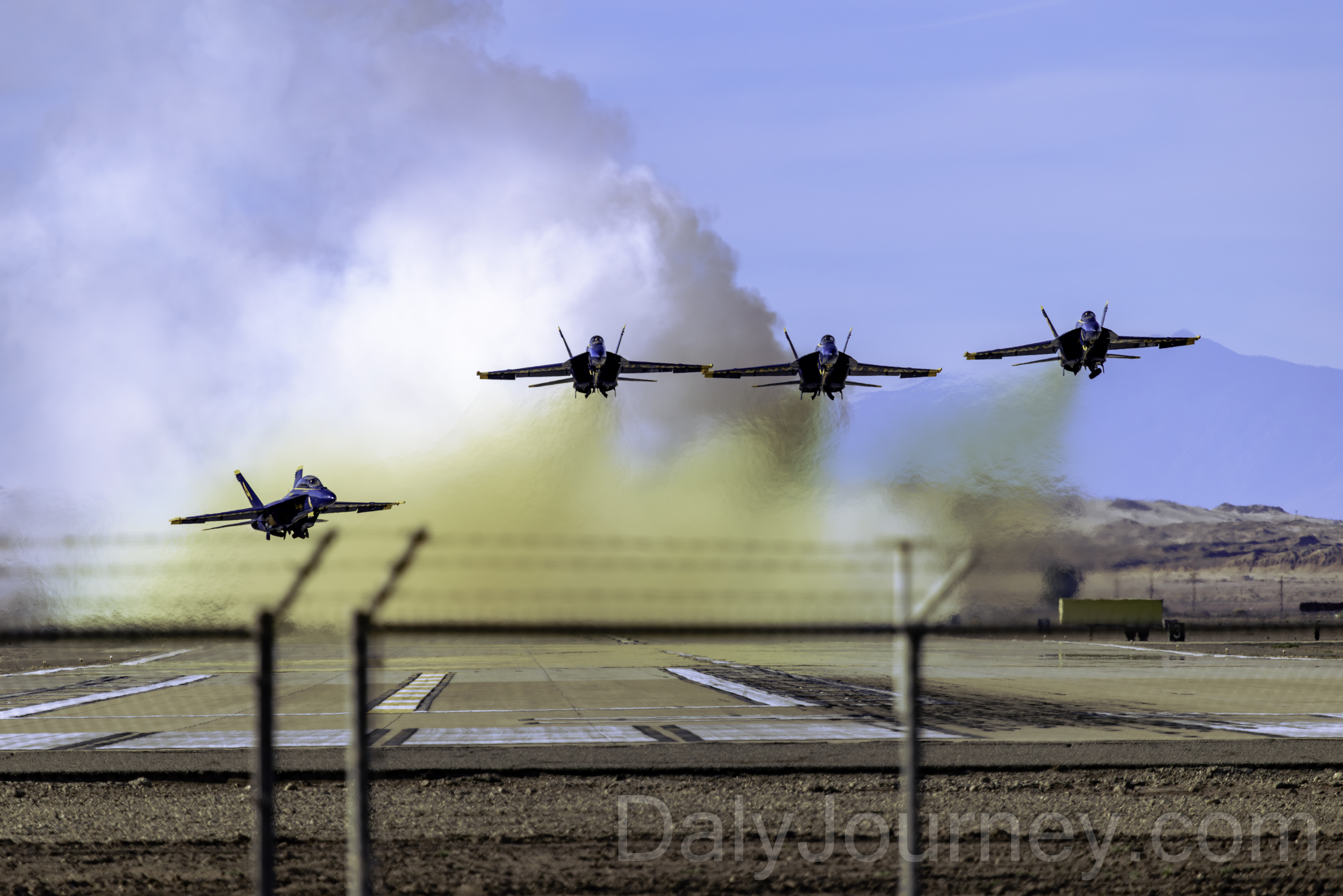 At The Fence Line photograph by Daly Photography At The Fence Line photograph by Daly Photography