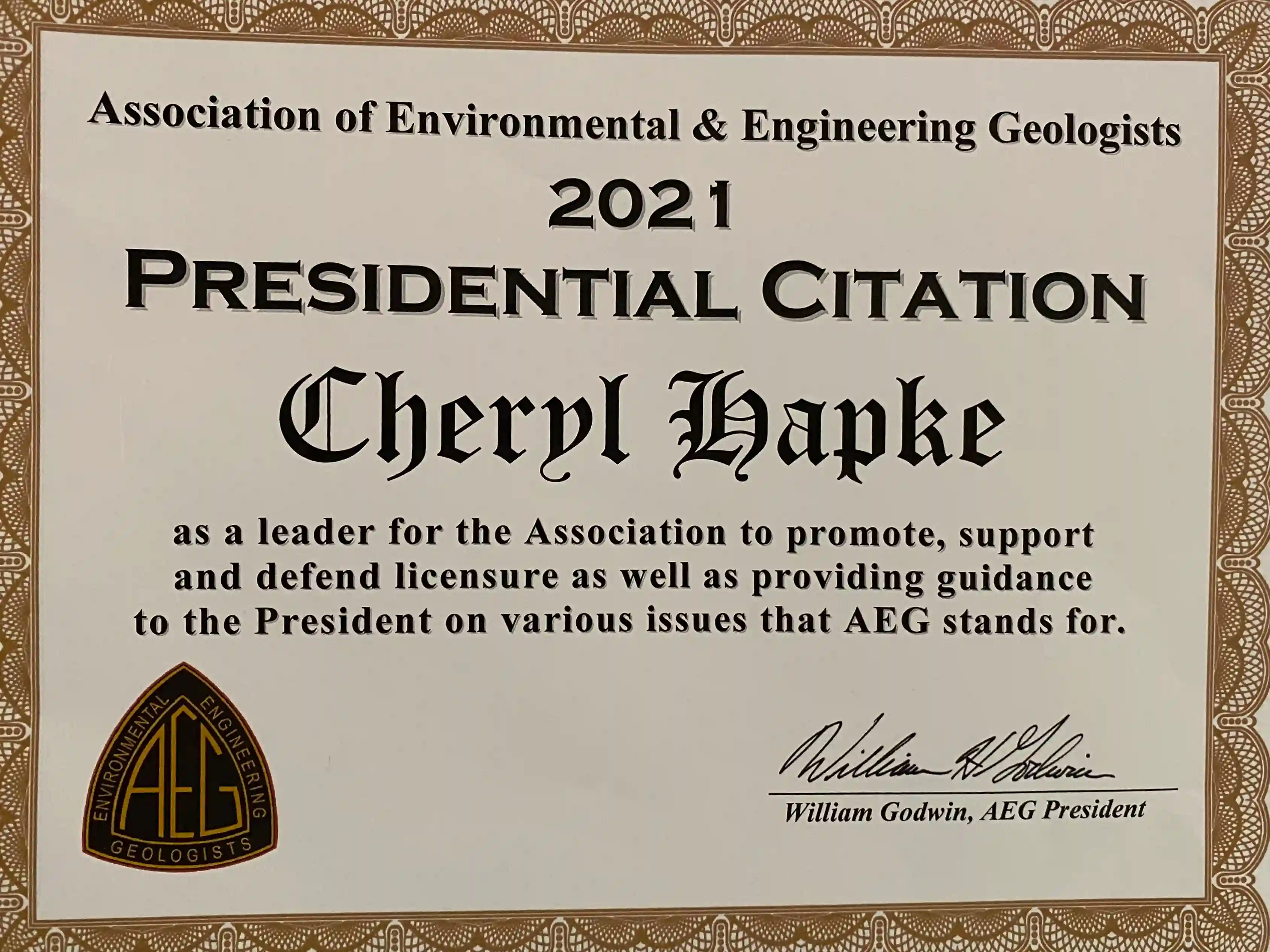 Professional Recognition