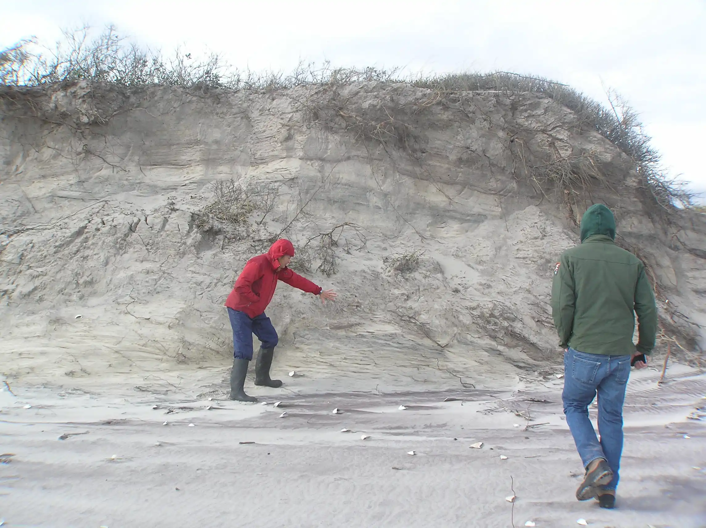 Scientific Fieldwork