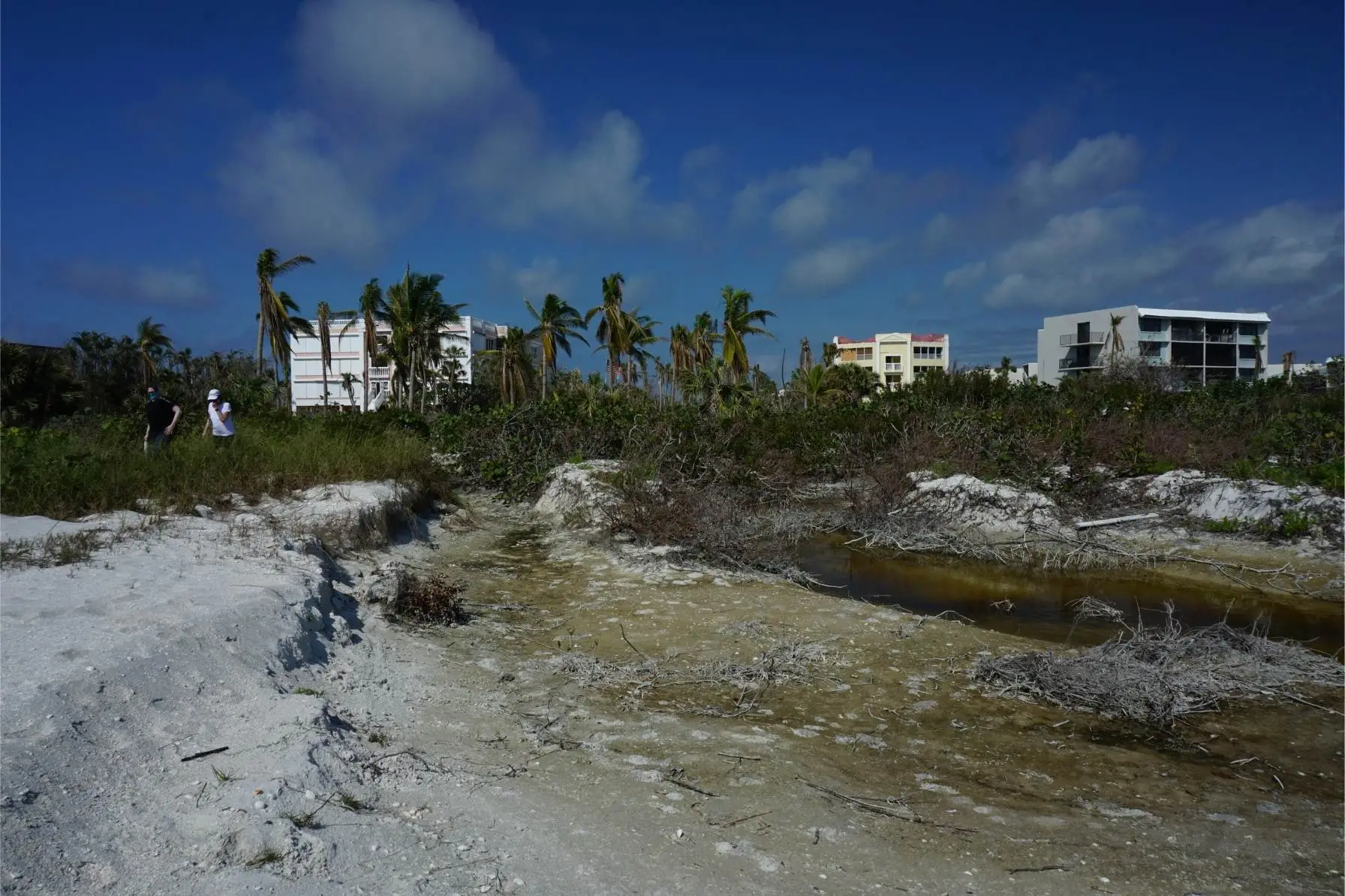 Coastal Geology Research 3