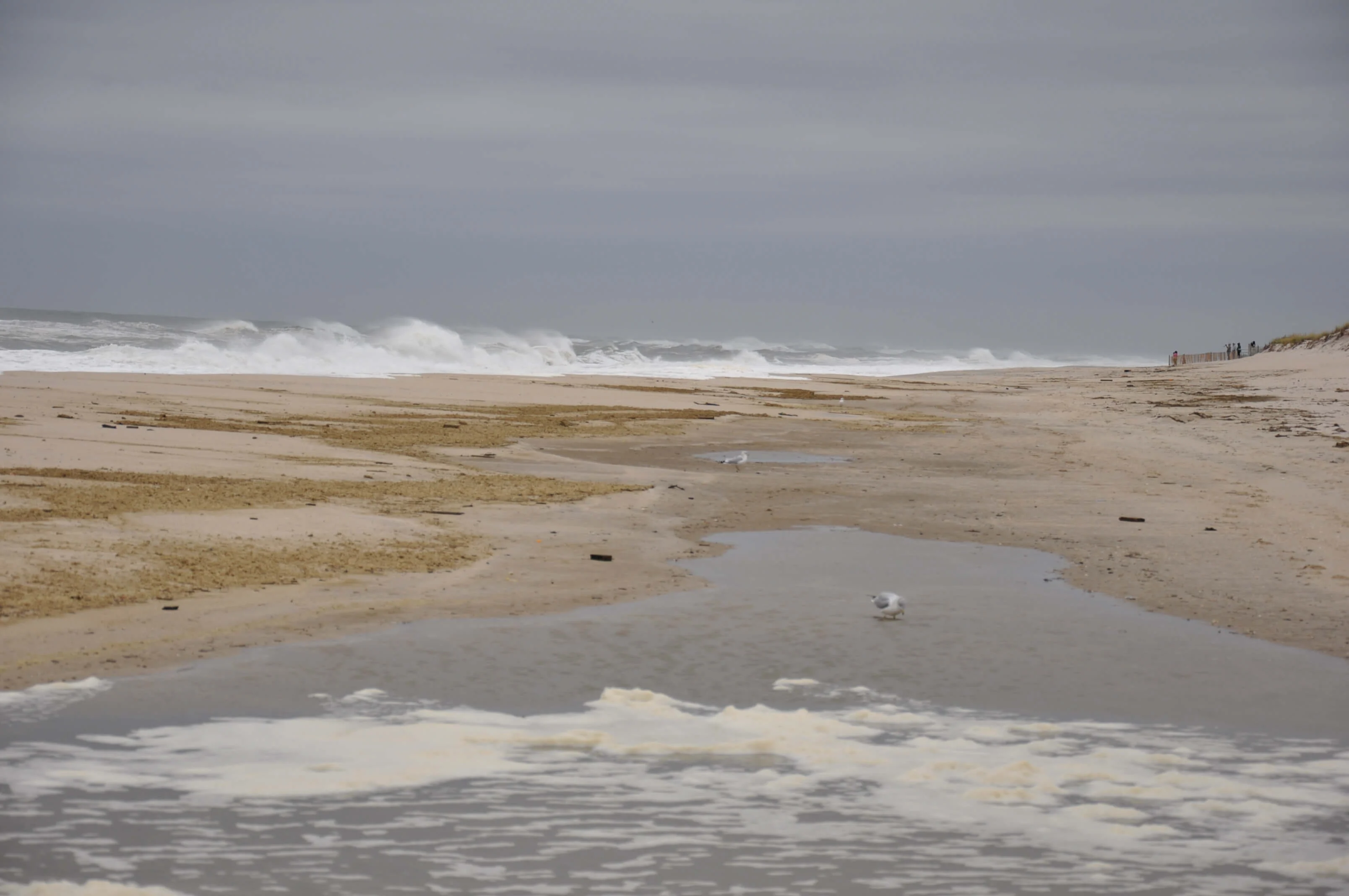 Coastal Geology Research 13