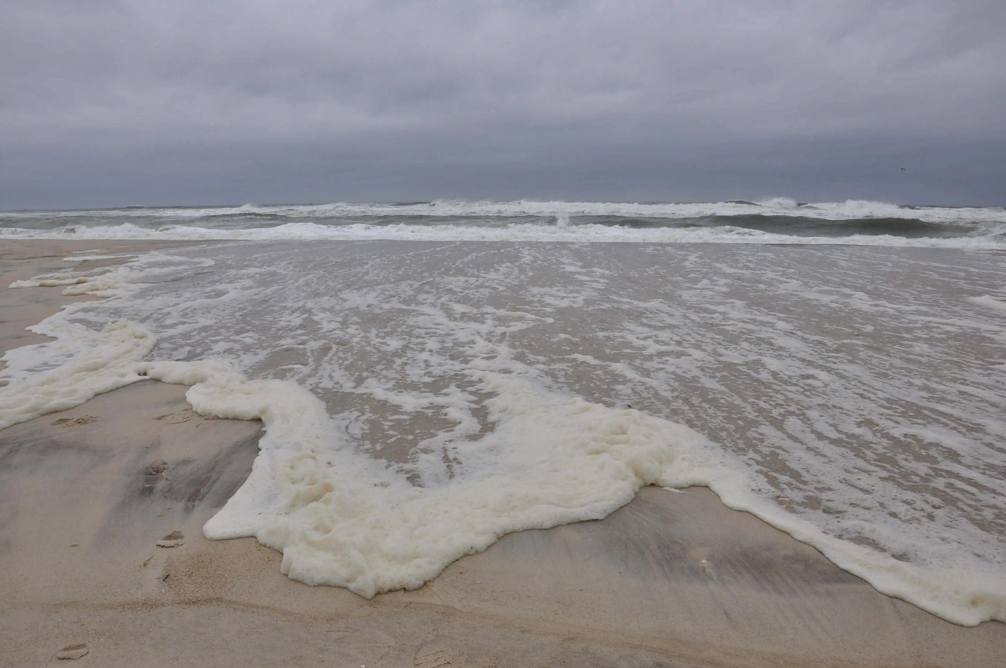 Coastal Geology Research 18