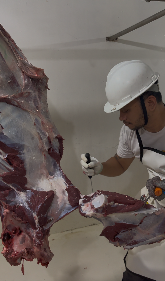 Preview of a separate beef hind quarter breakdown demonstration by Jason