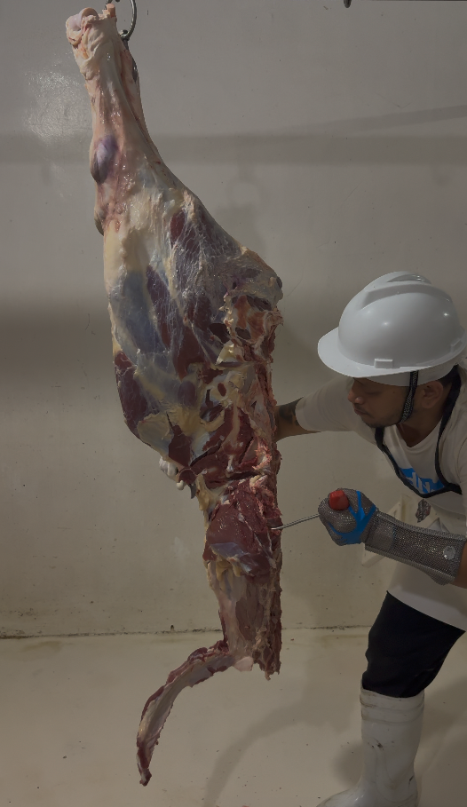 Preview of Jason performing a beef hind quarter breakdown demonstration