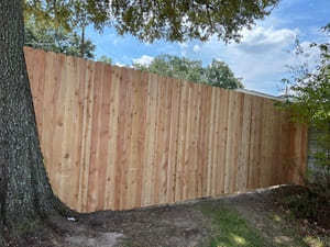 {{ custom_values.service_3 }} in {{custom_values.area_7})