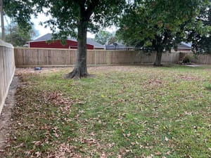 {{ custom_values.service_4 }} in {{custom_values.area_7})