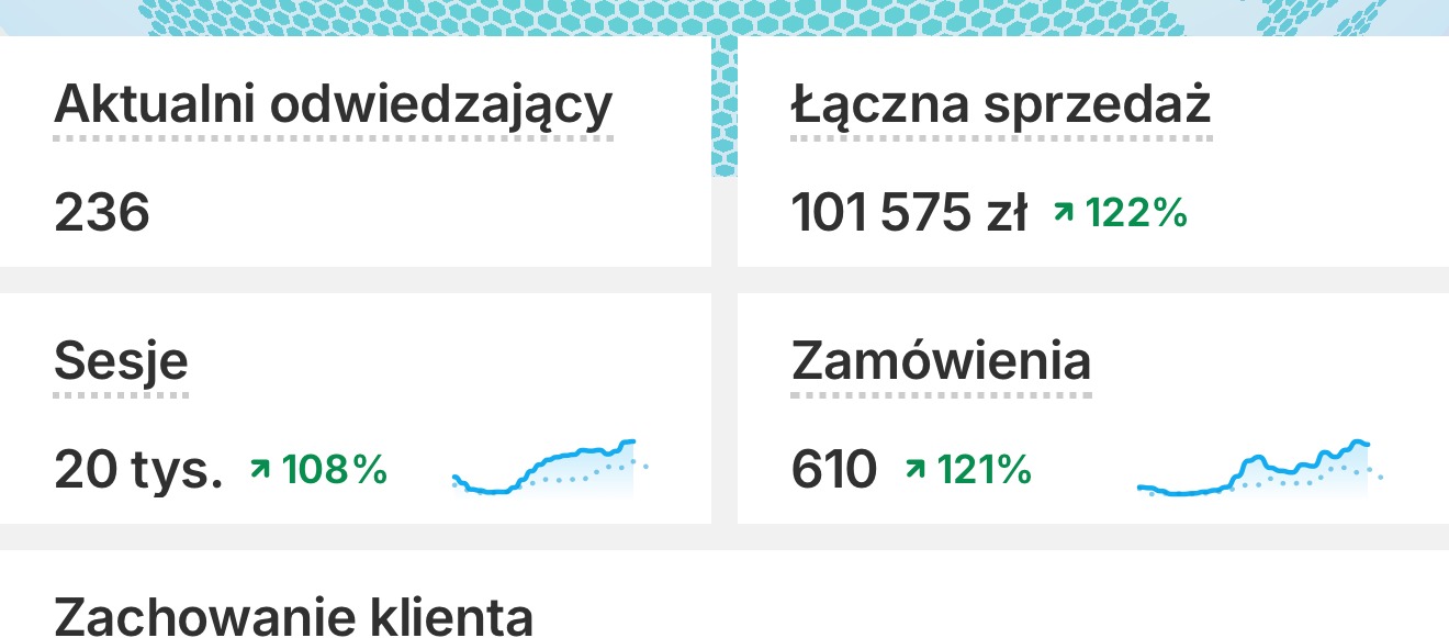 Wyniki Shopify