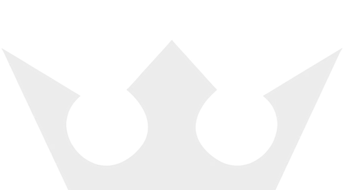 Value Bridge Logo Cut in Half
