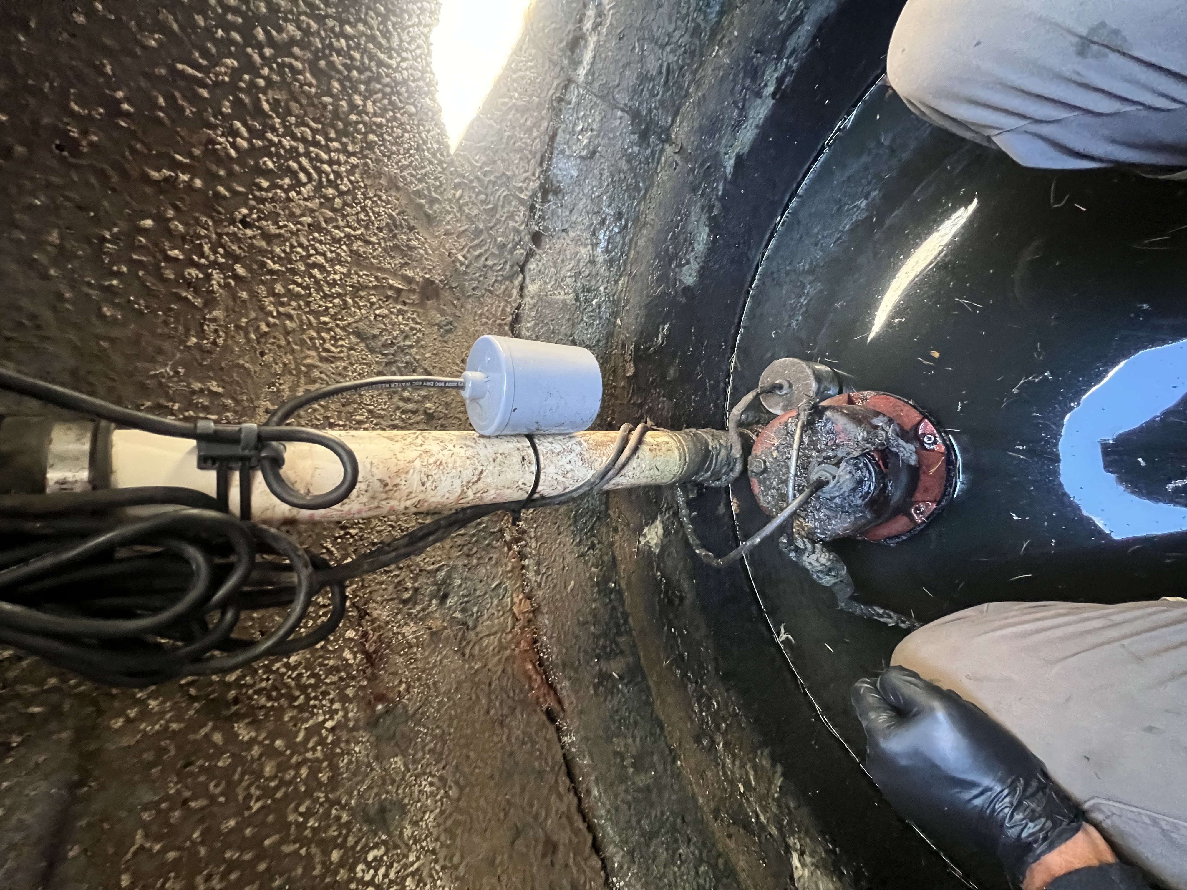 curbside pickup in calgary