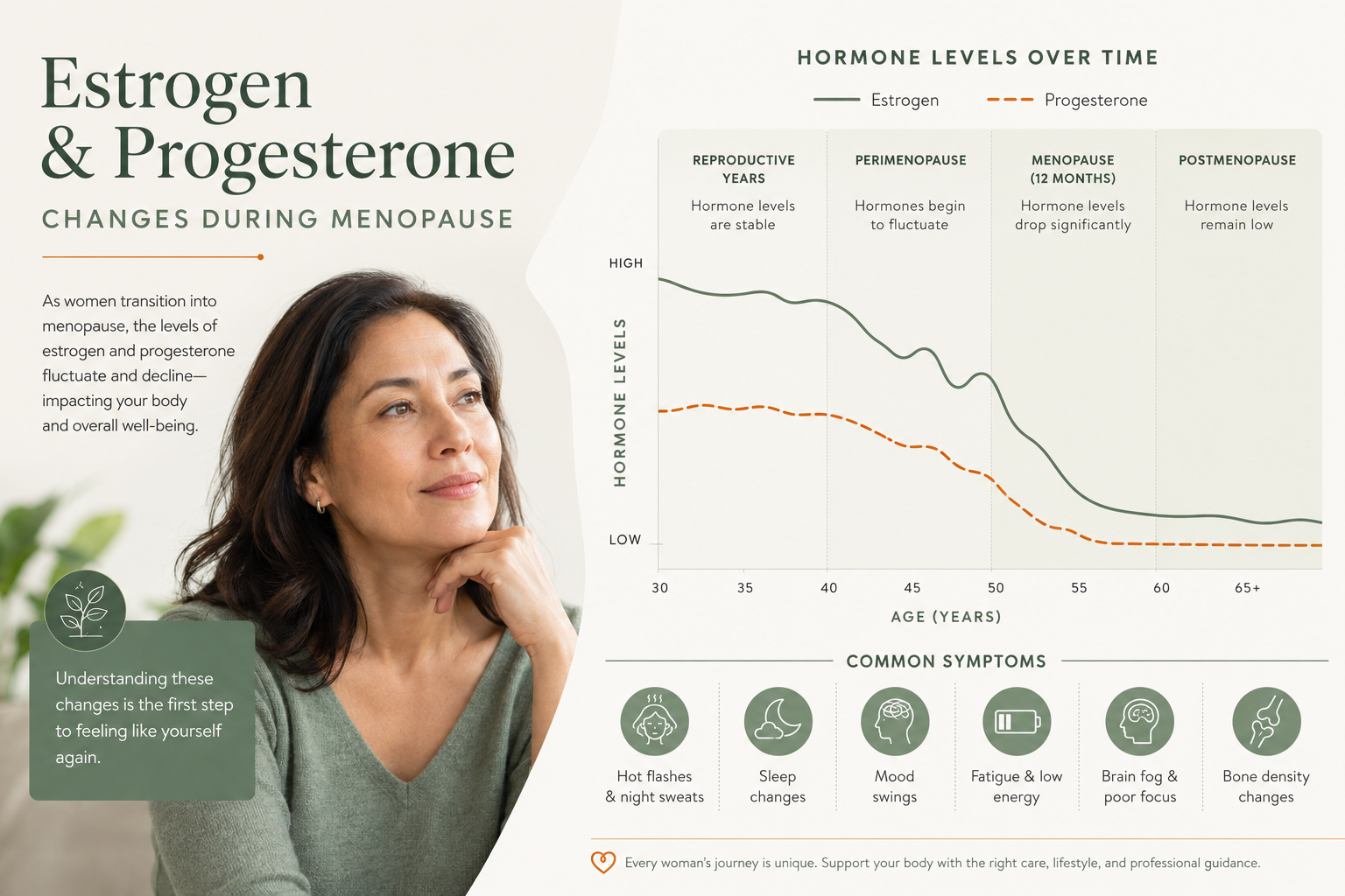 Illustration showing estrogen and progesterone changes during menopause