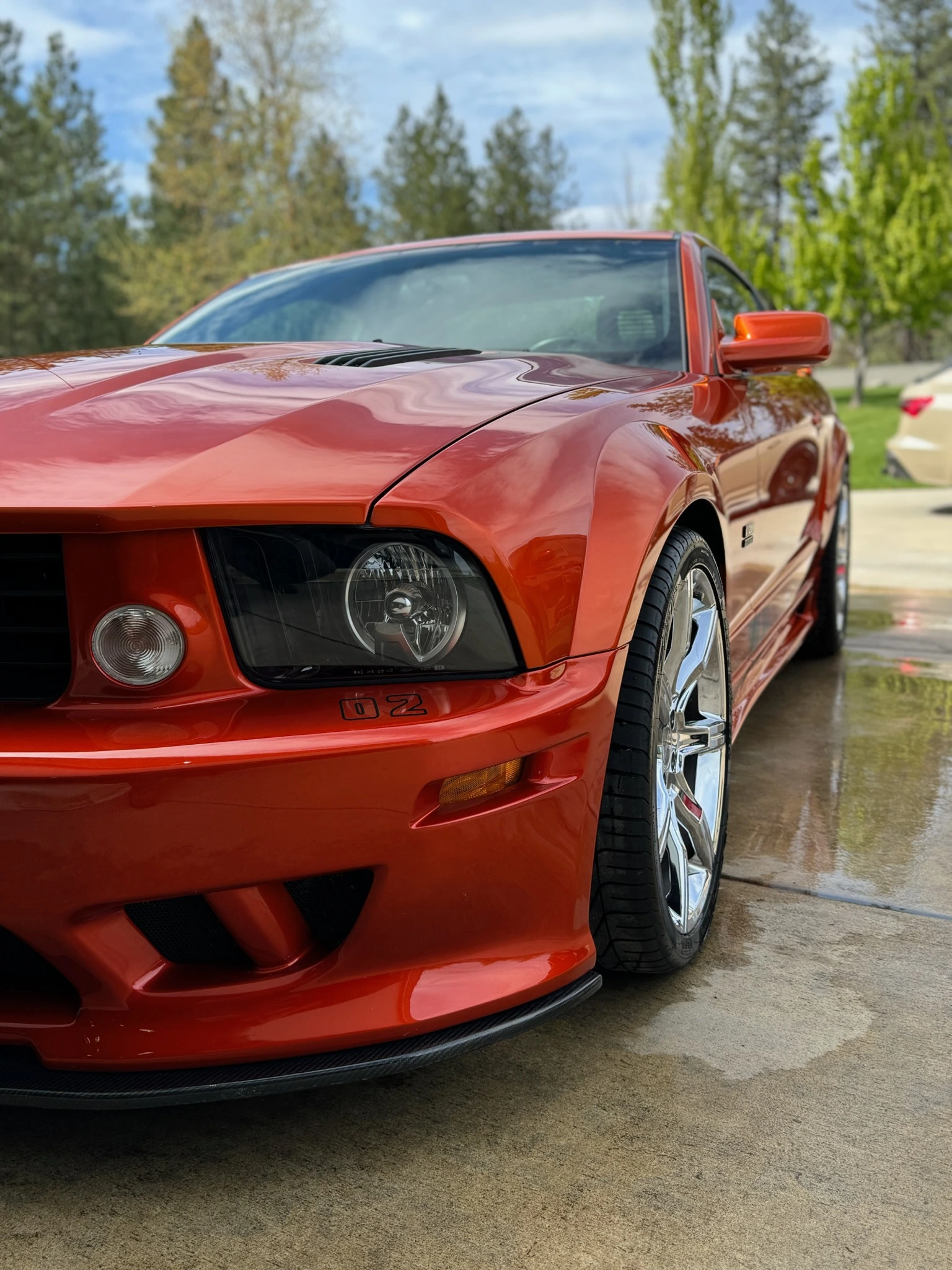 Paint correction performed by Paragon Auto Care