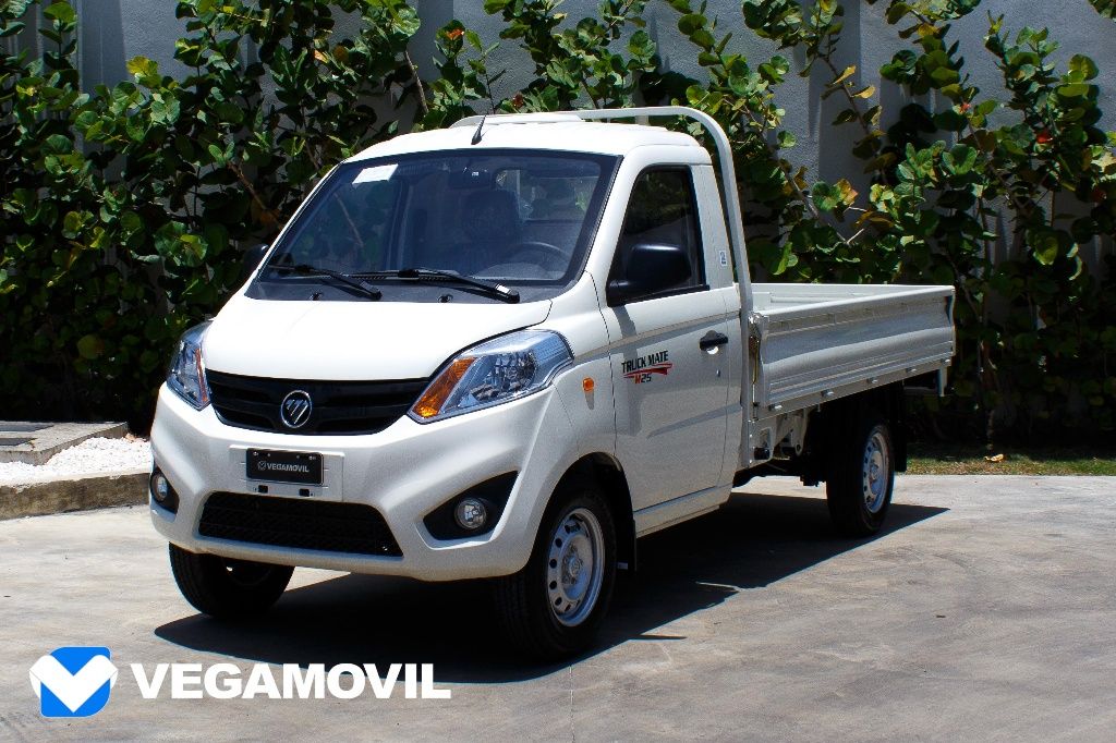 Foton Truck Mate M 1 Cab 9.5 Pies