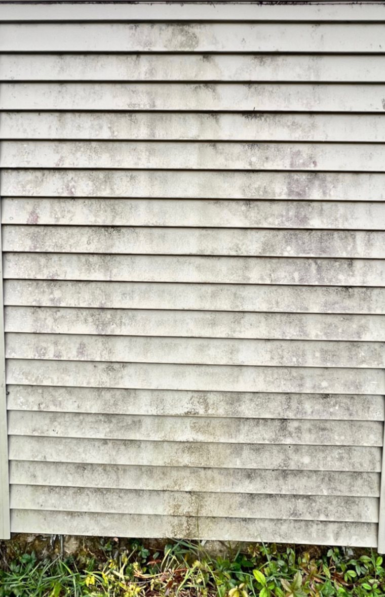 Before — Bayou Bright