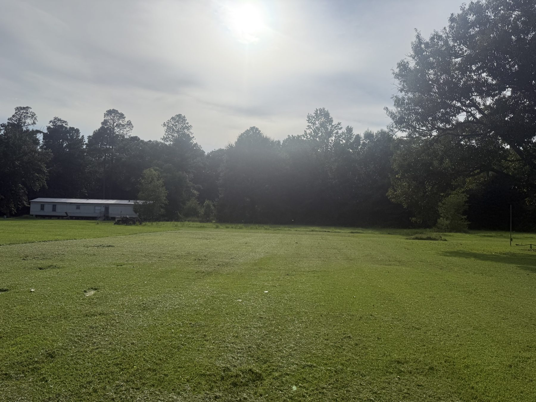Overgrown → Dialed In — Bayou Bright before and after