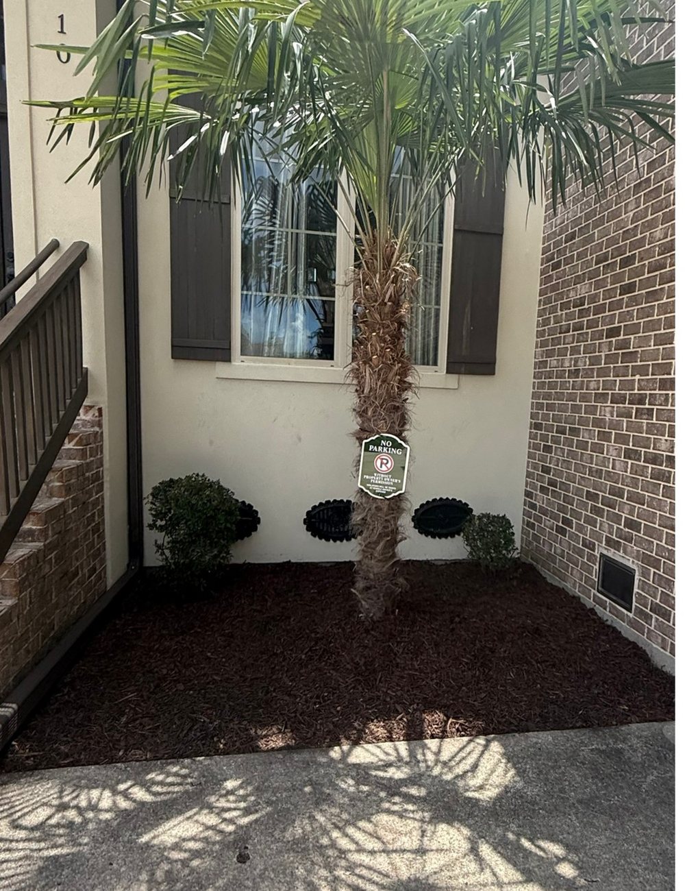 After — Bayou Bright landscaping