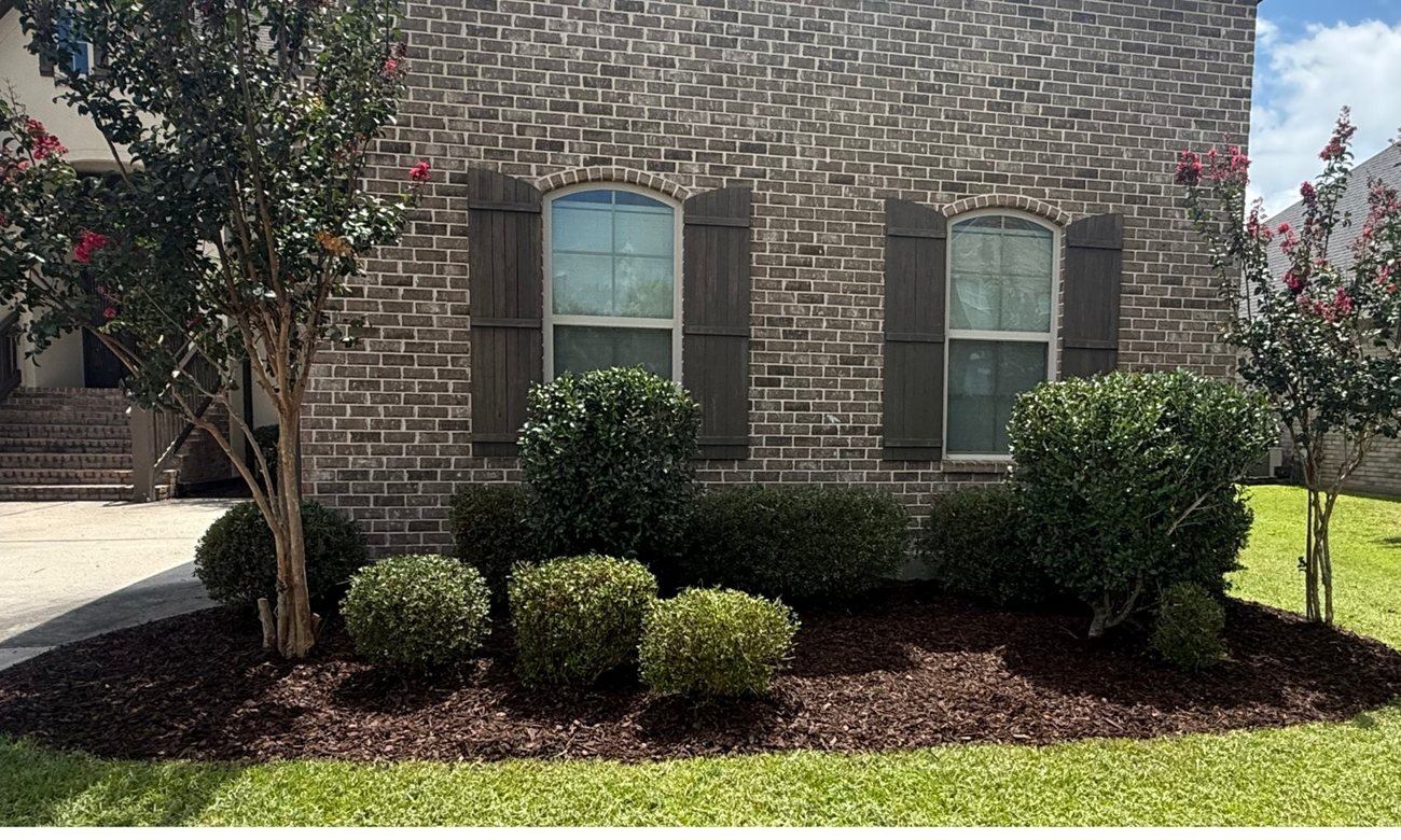 After — Bayou Bright landscaping