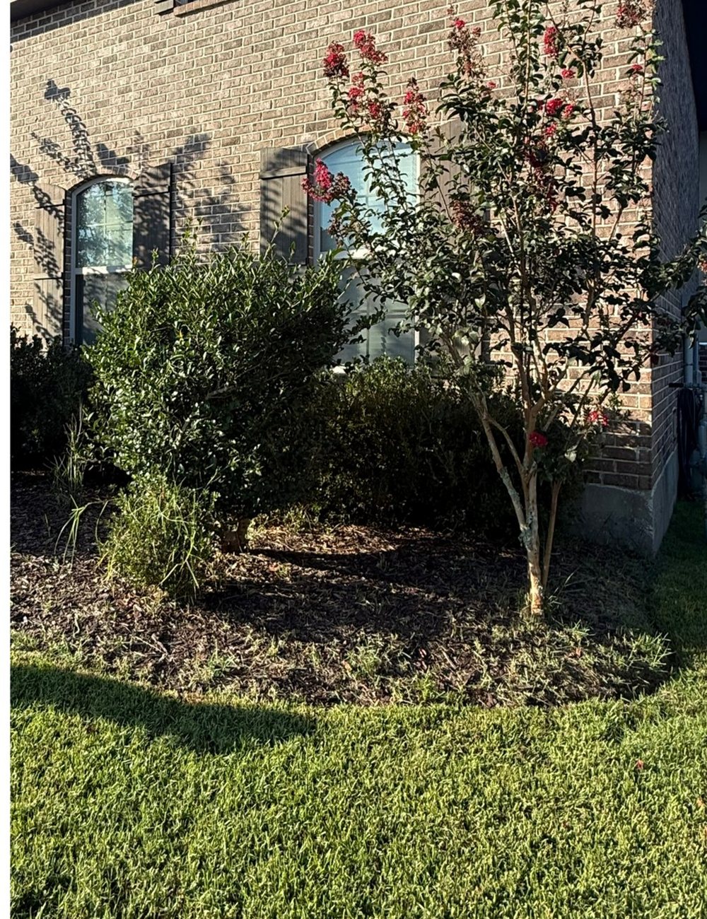 Before — Bayou Bright landscaping