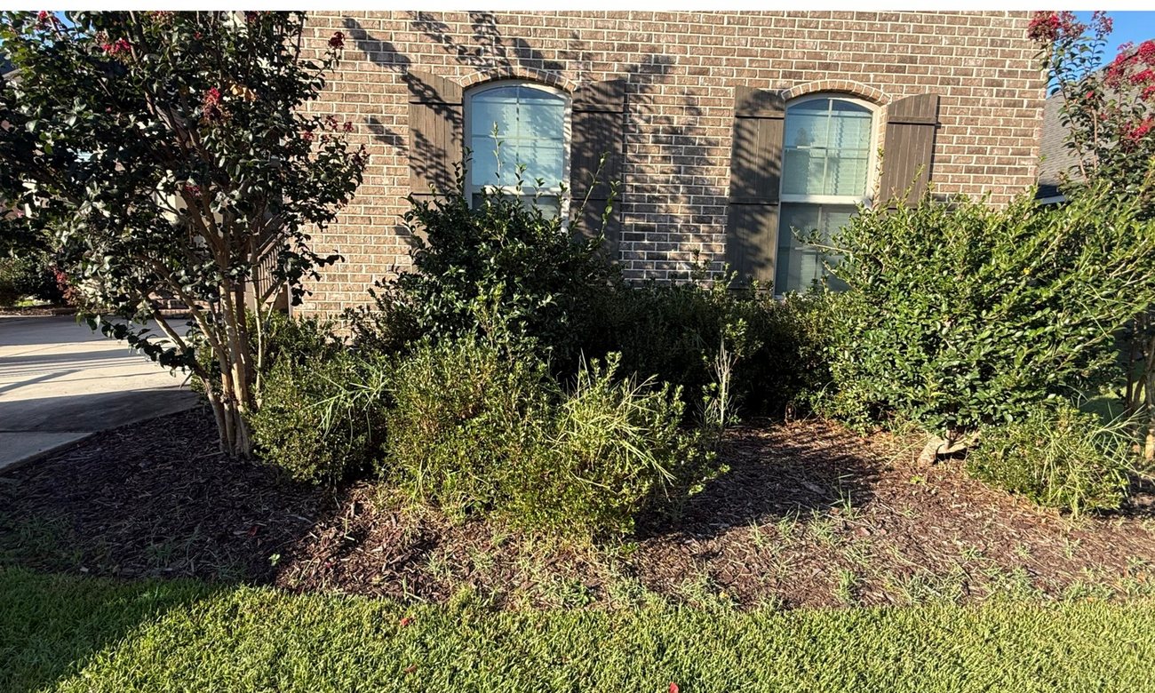 Before — Bayou Bright landscaping