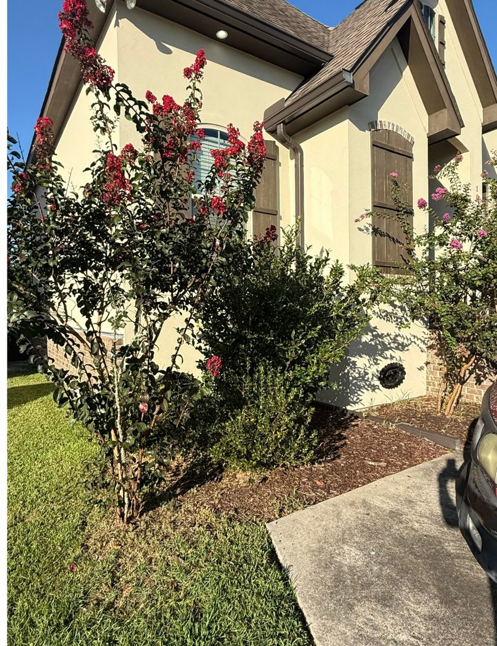 Before — Bayou Bright landscaping