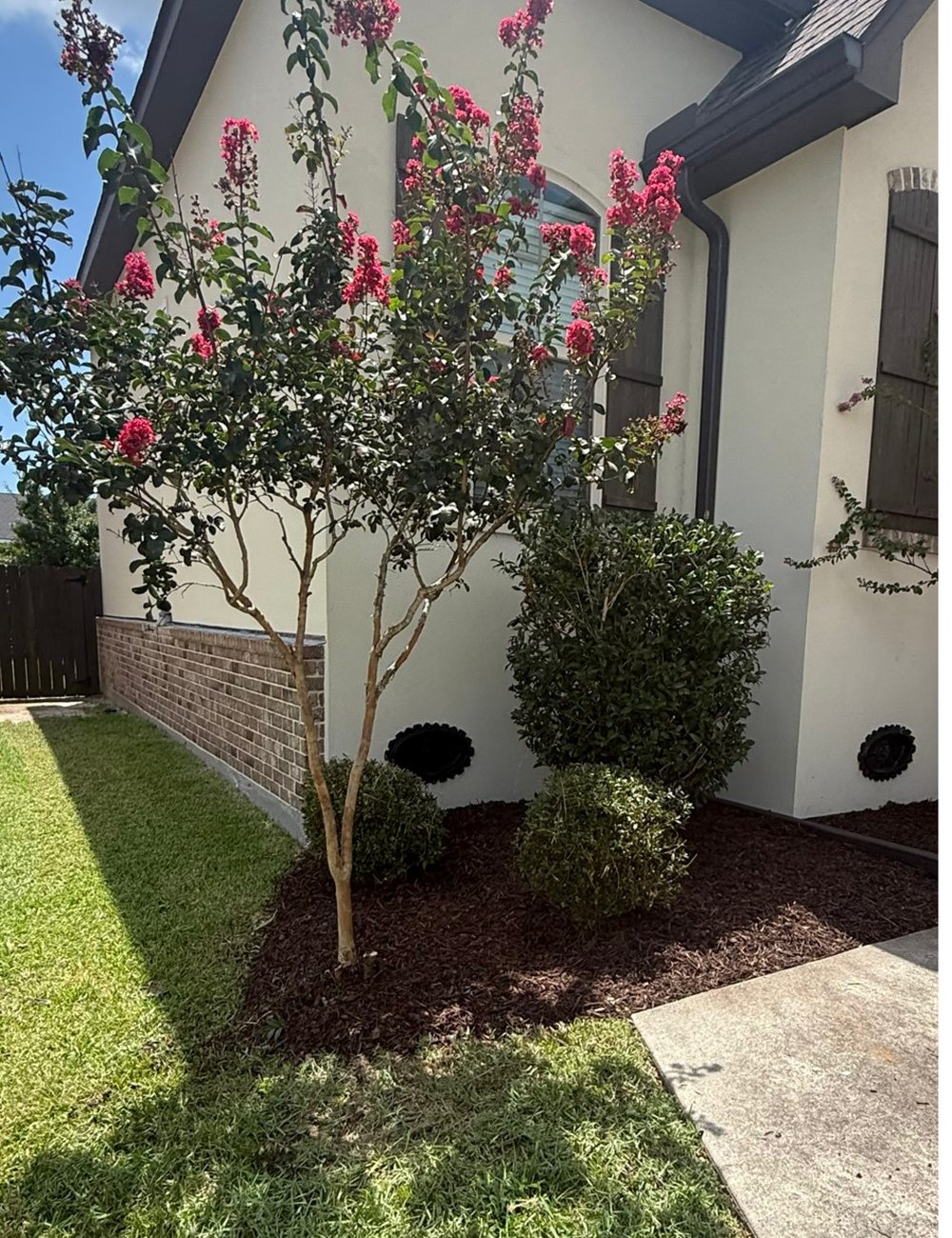 After — Bayou Bright landscaping