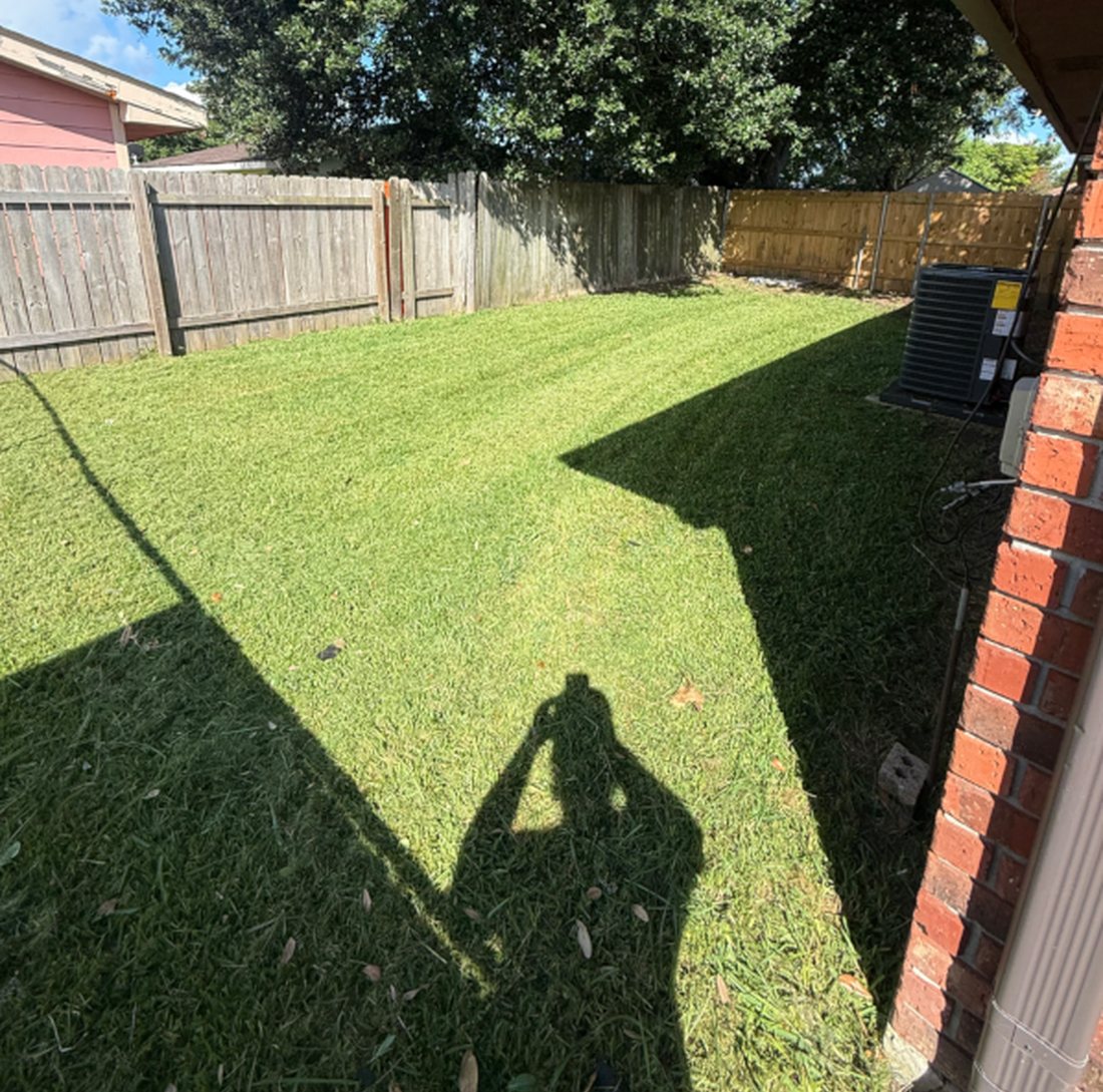 Freshly cut lawn — Bayou Bright
