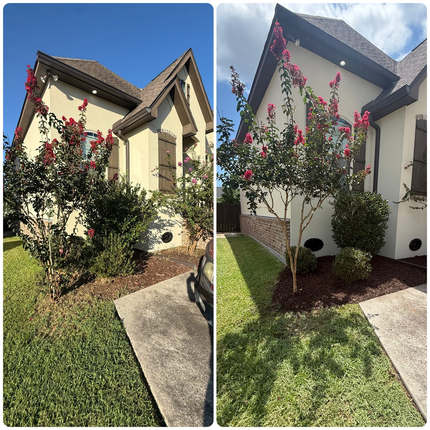 Landscape & Beds — Bayou Bright before and after