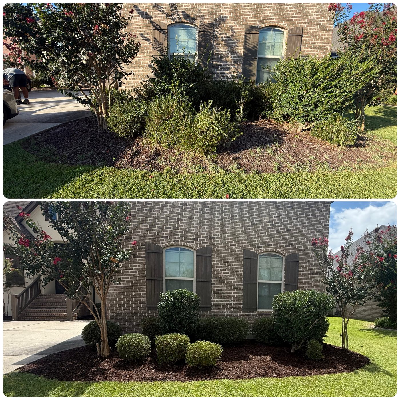 Bed Cleanup & Mulch — Bayou Bright before and after