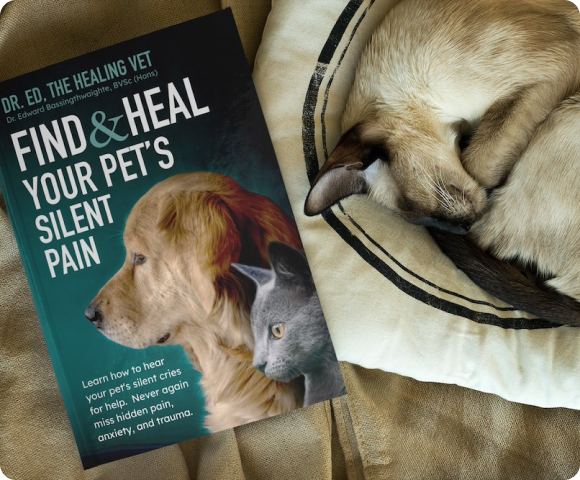 Photo Find And Heal Your Pet’s Silent Pain Book Next to a Sleeping Cat