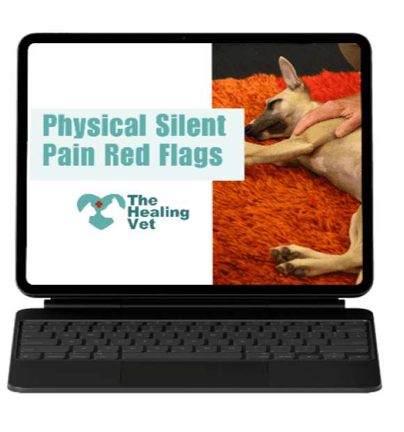 Image of Laptop with Title Card: AI-Physical Silent Pain Red Flags