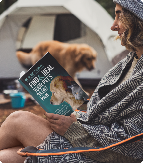 Photo Of Woman Reading Book While Camping With Golden Retriever