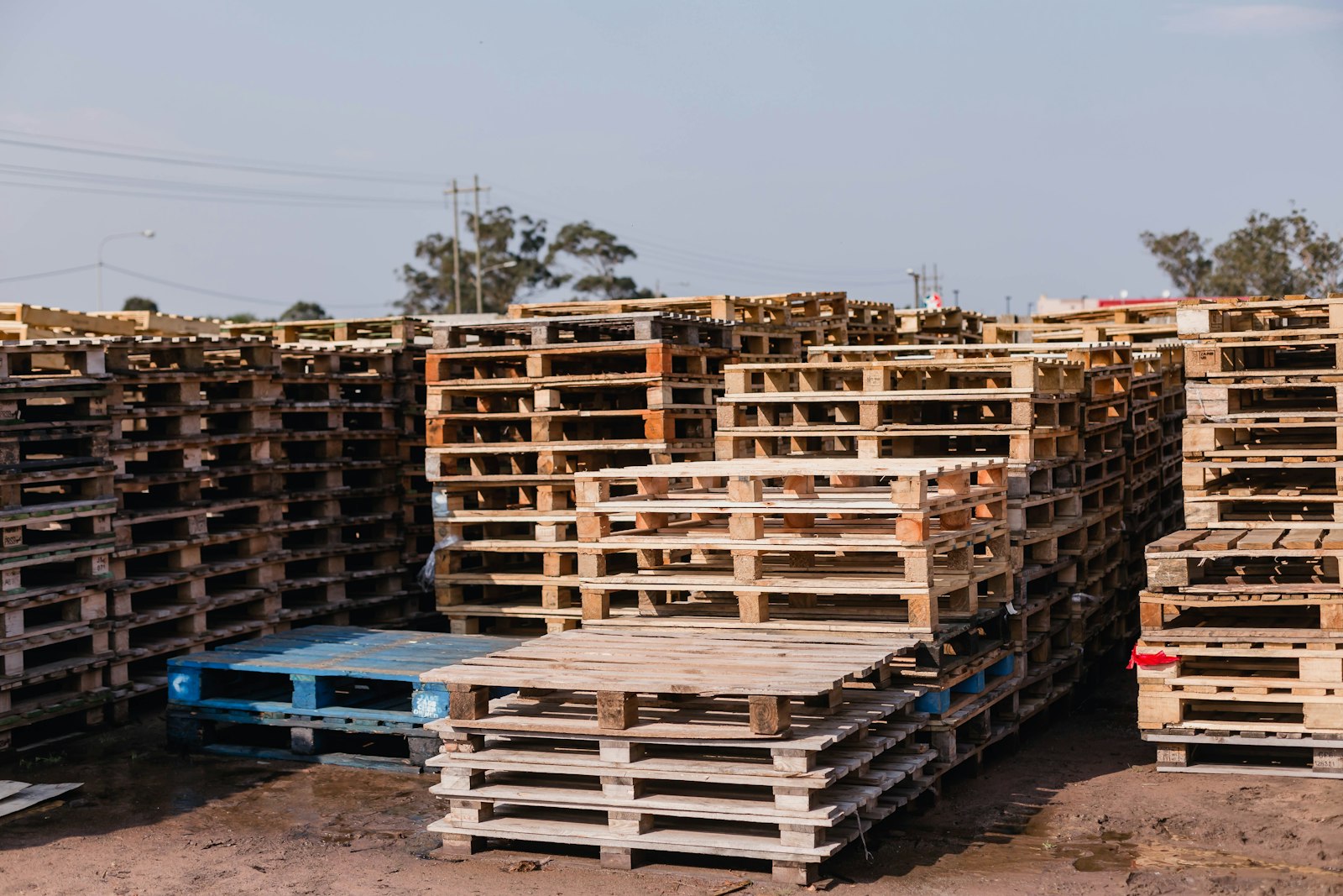 Pallet Disposal in Leander, TX — Professional, Fast & Eco Friendly Haul Away (8)