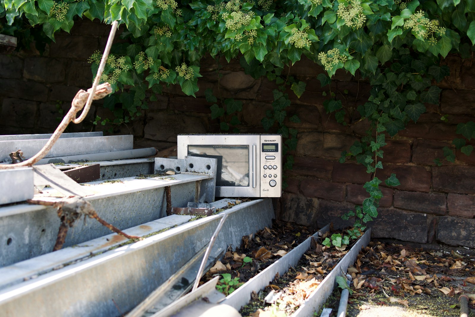 What to Expect During Appliance Removal in Georgetown, TX — Complete 2026 Step-by-Step Process Guide
