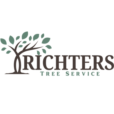 Tree Service in Albany, NY