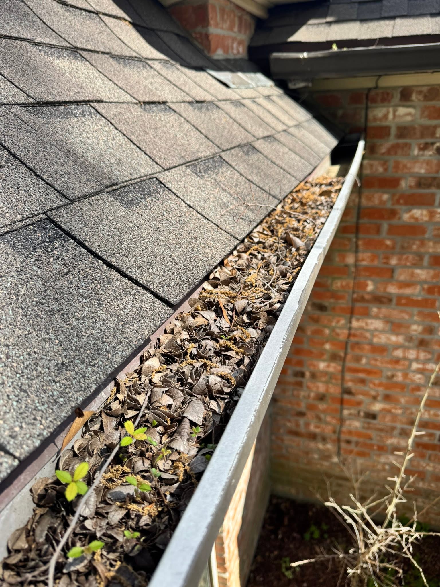 Coreshield gutter cleaning service in Houston, TX