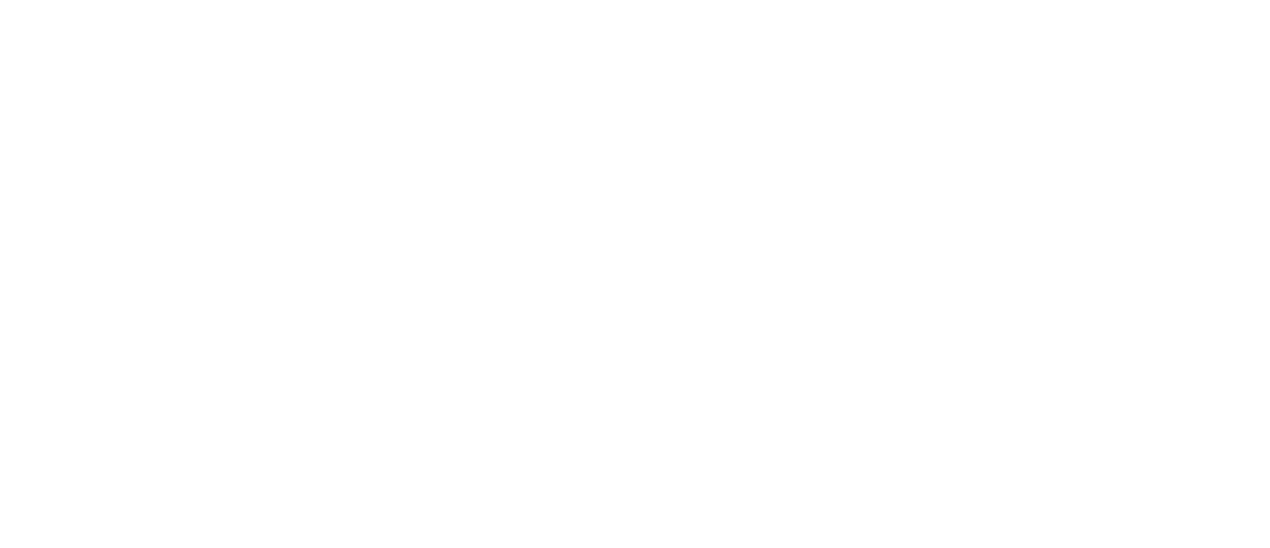 Viking Performance