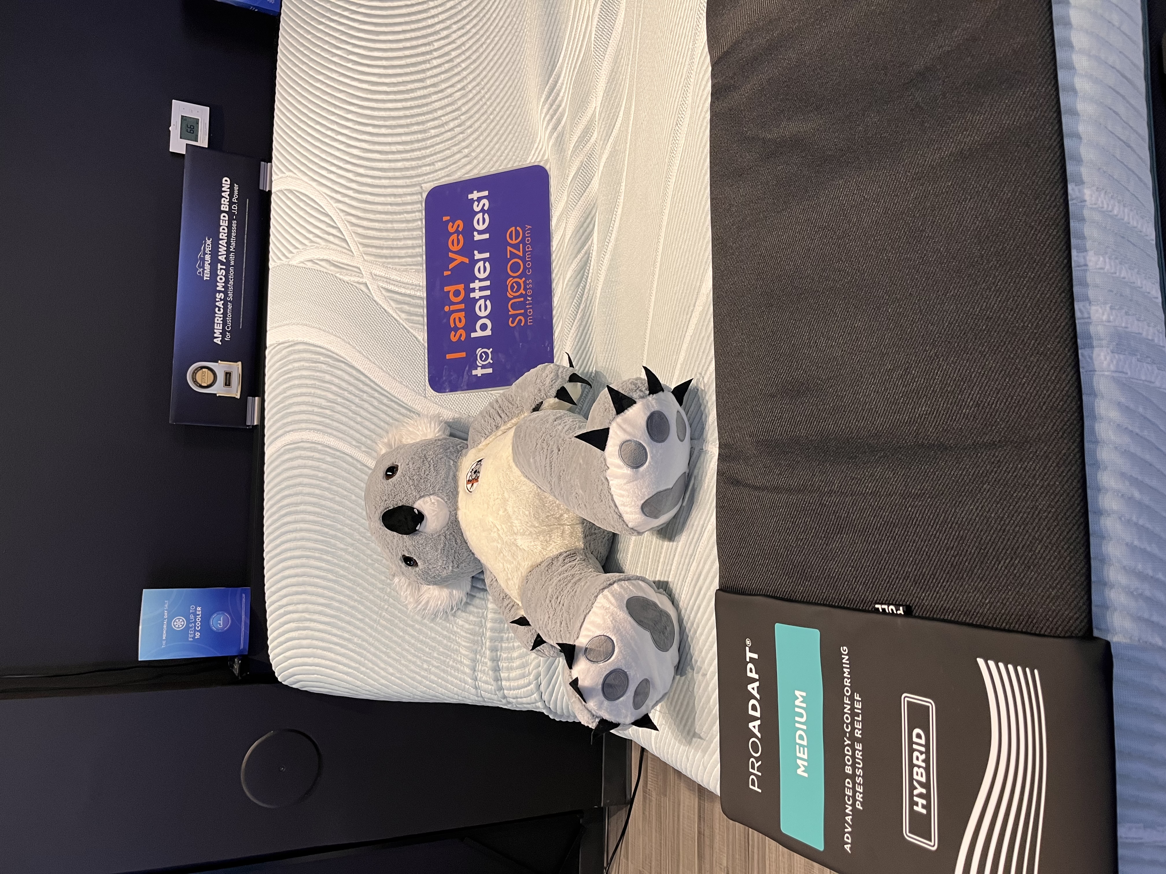 Snooze Sleep Coaches Pressure Mapping