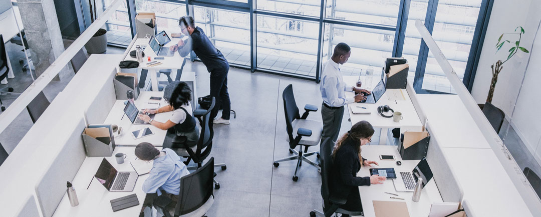 Small business team protected by ransomware defense