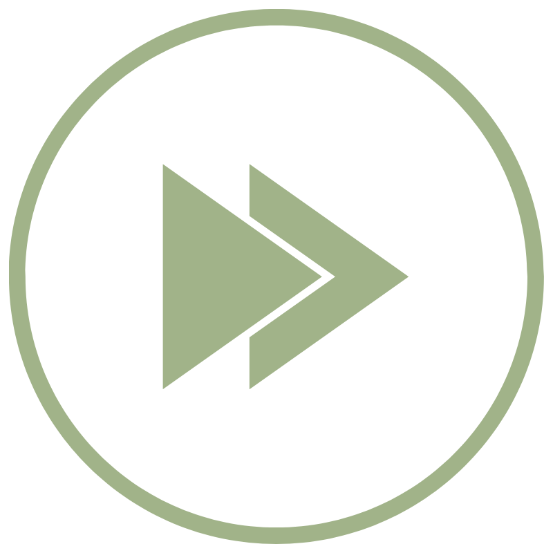 The Creator Accelerator