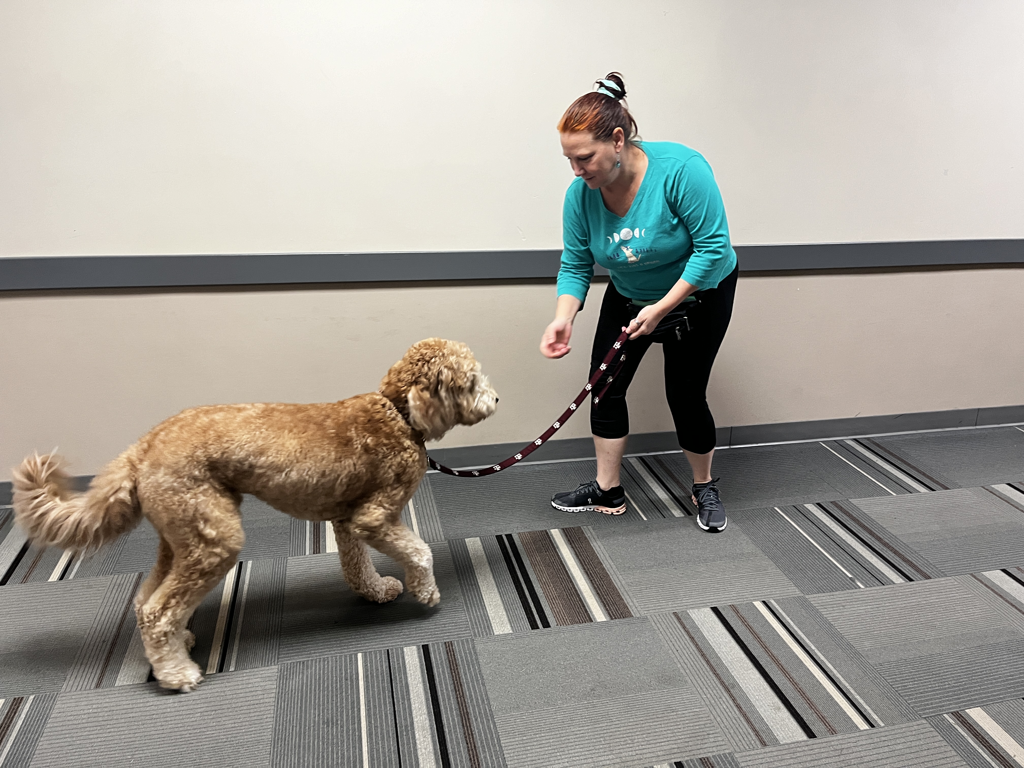 Dog with a trainer Dog with a trainer