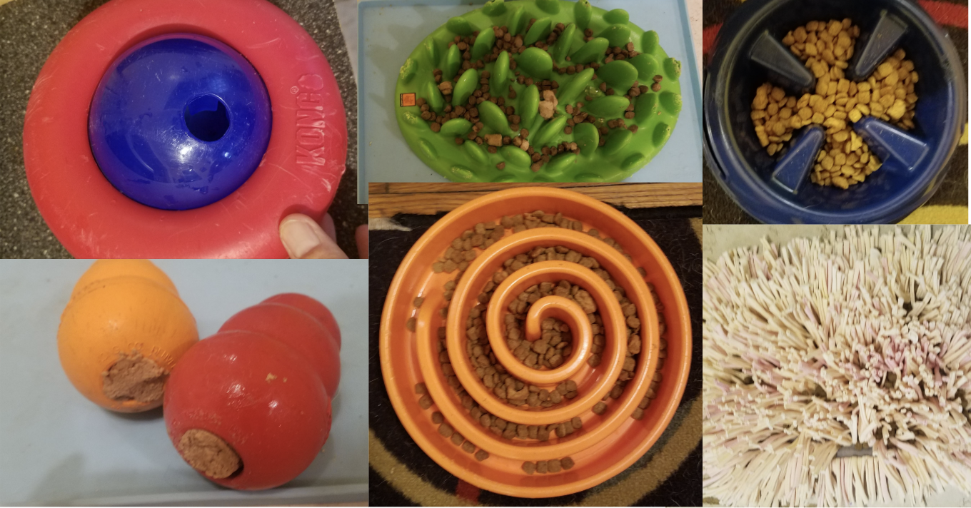 slow feeders slow feeders