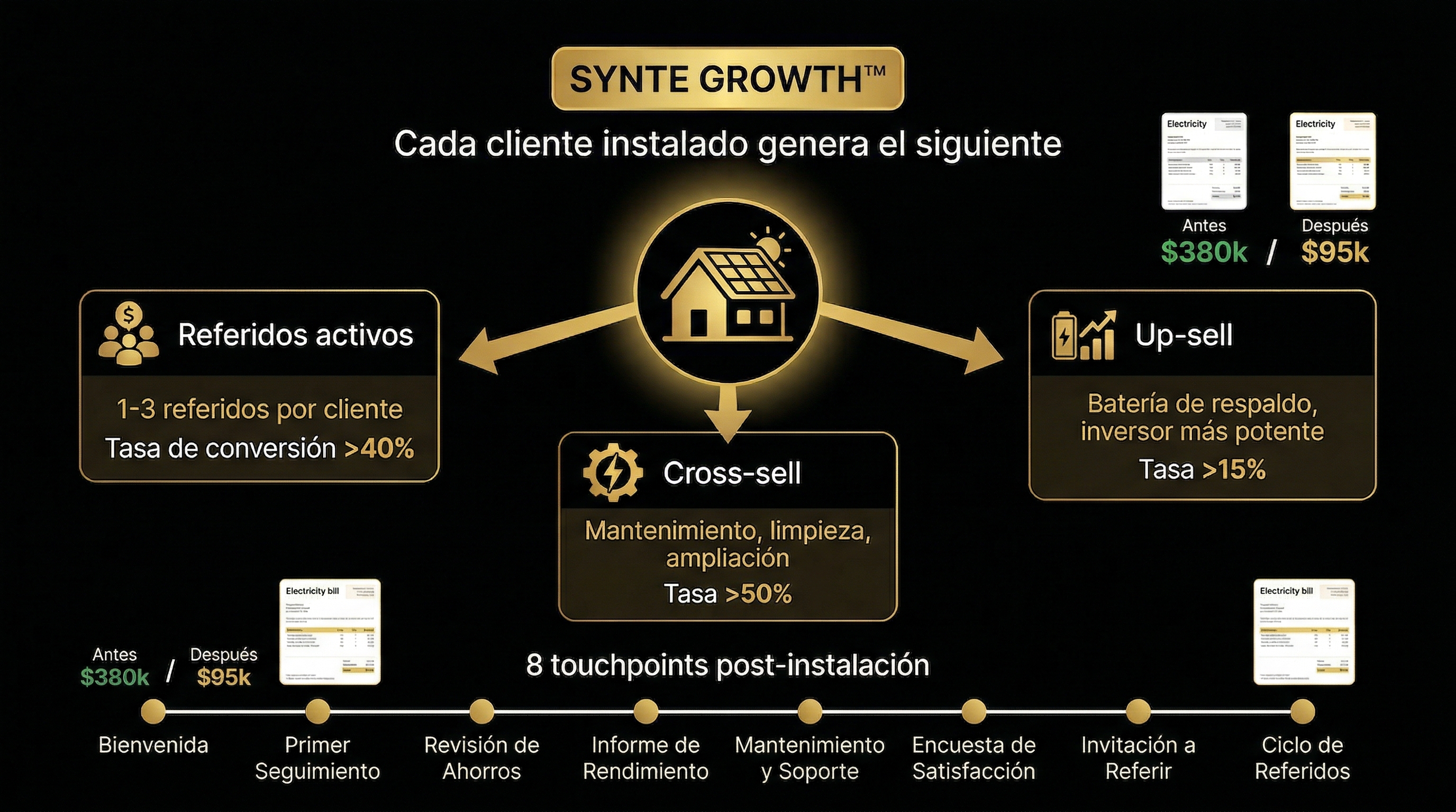 Synte Growth