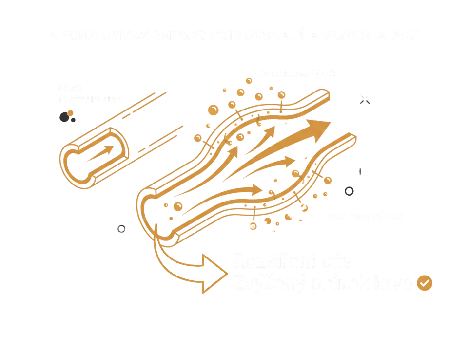 Mechanizmus pic