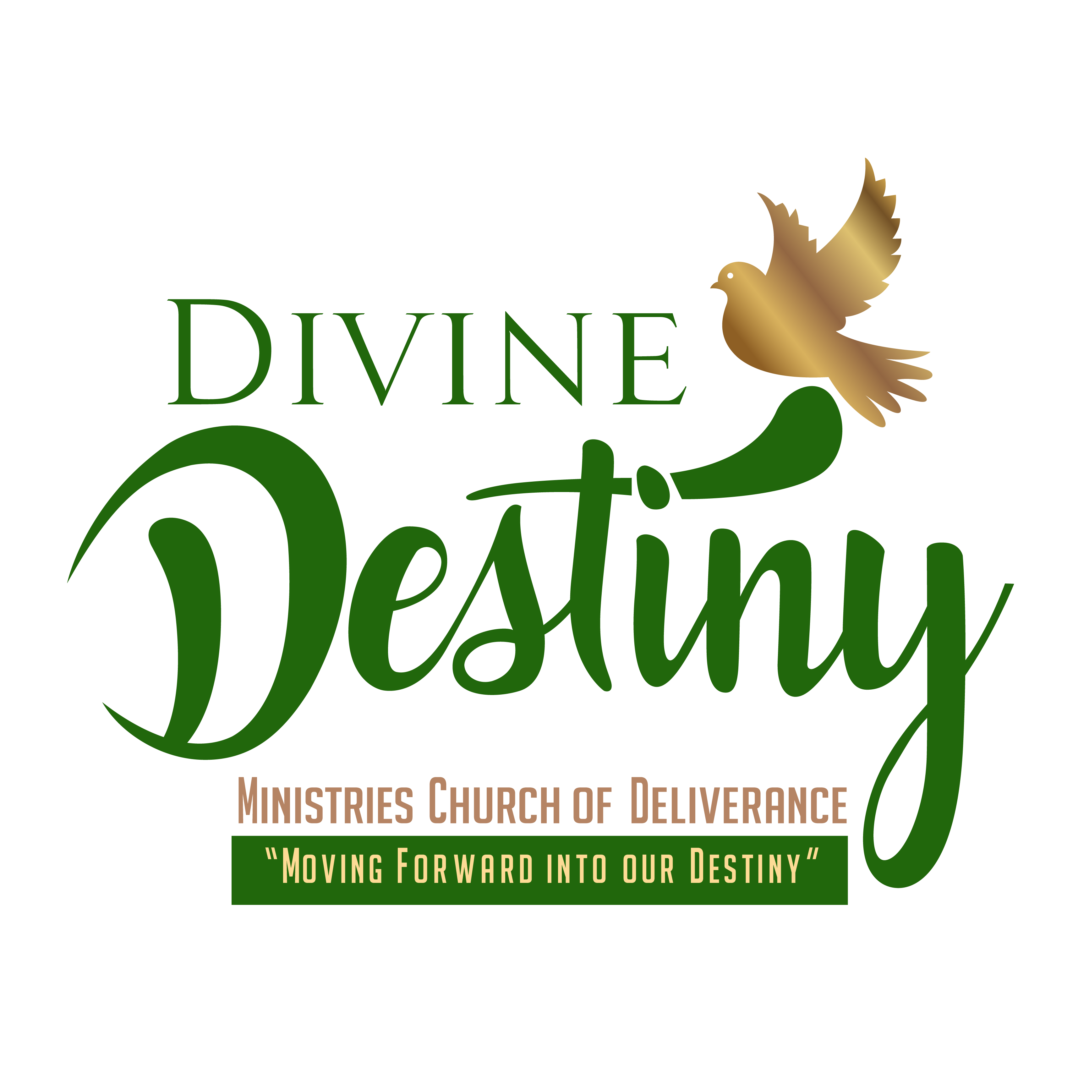 Divine Destiny Wilson Logo