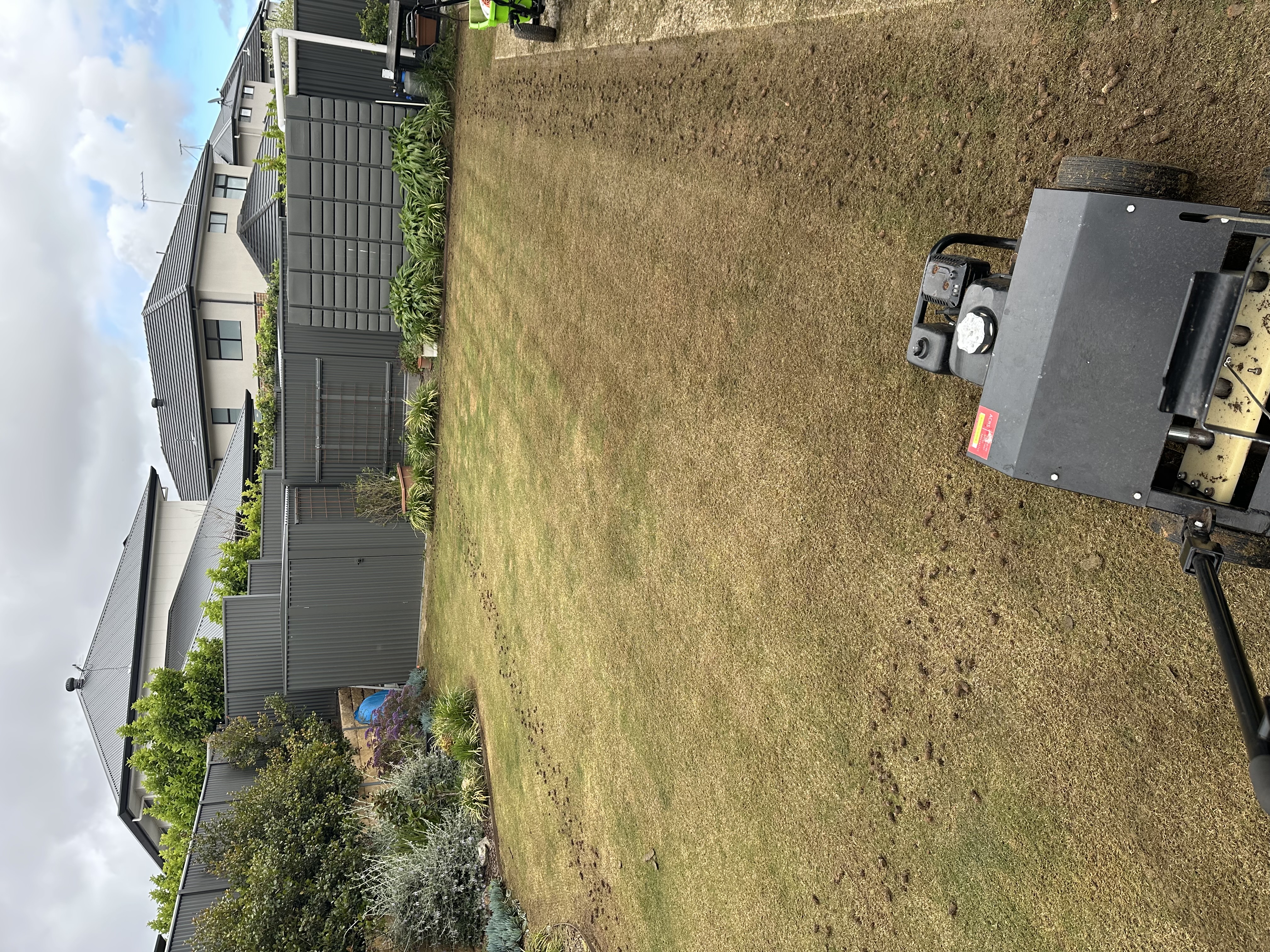 Lawn Renovation