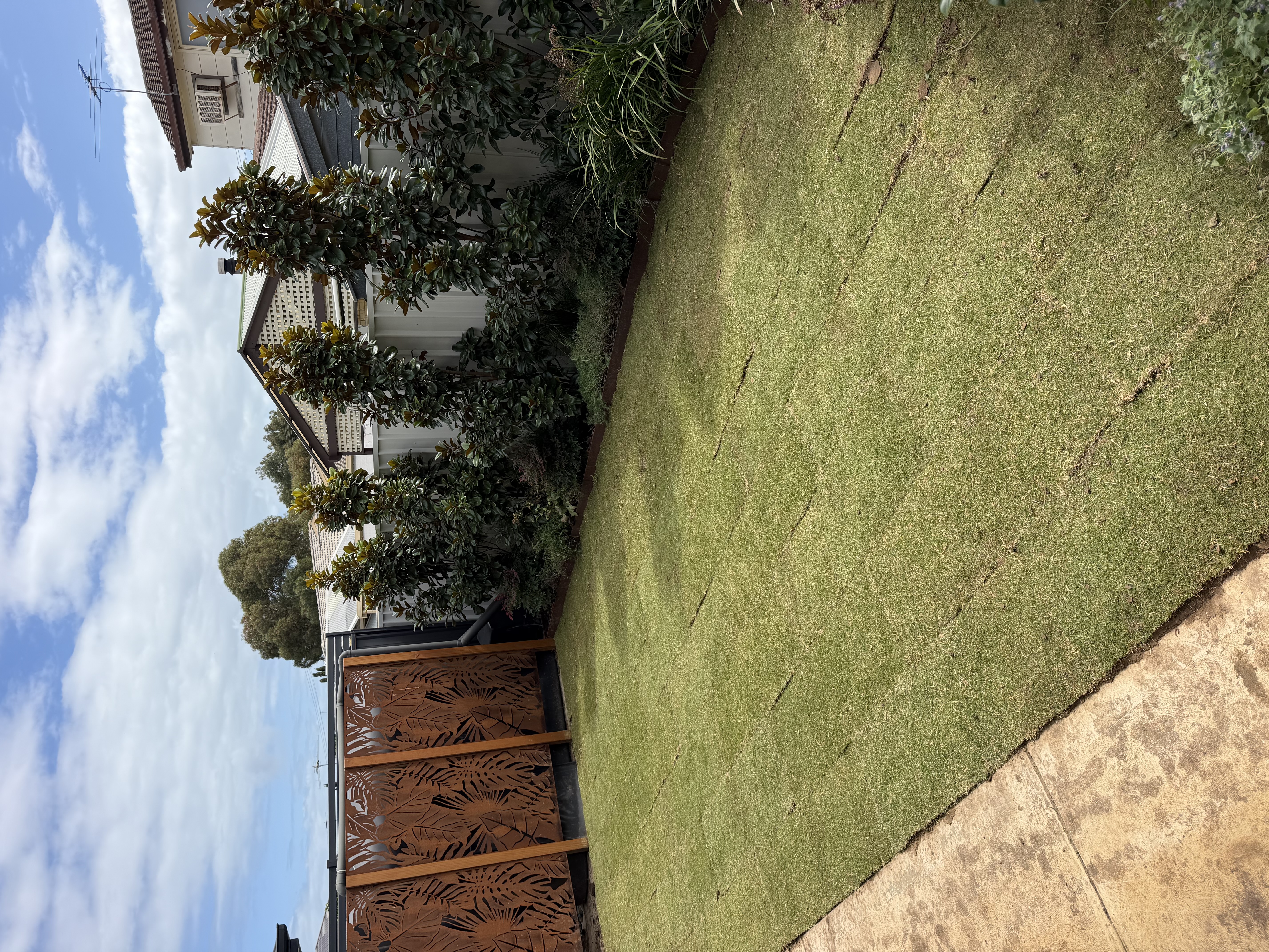 Tanner's Turf Project