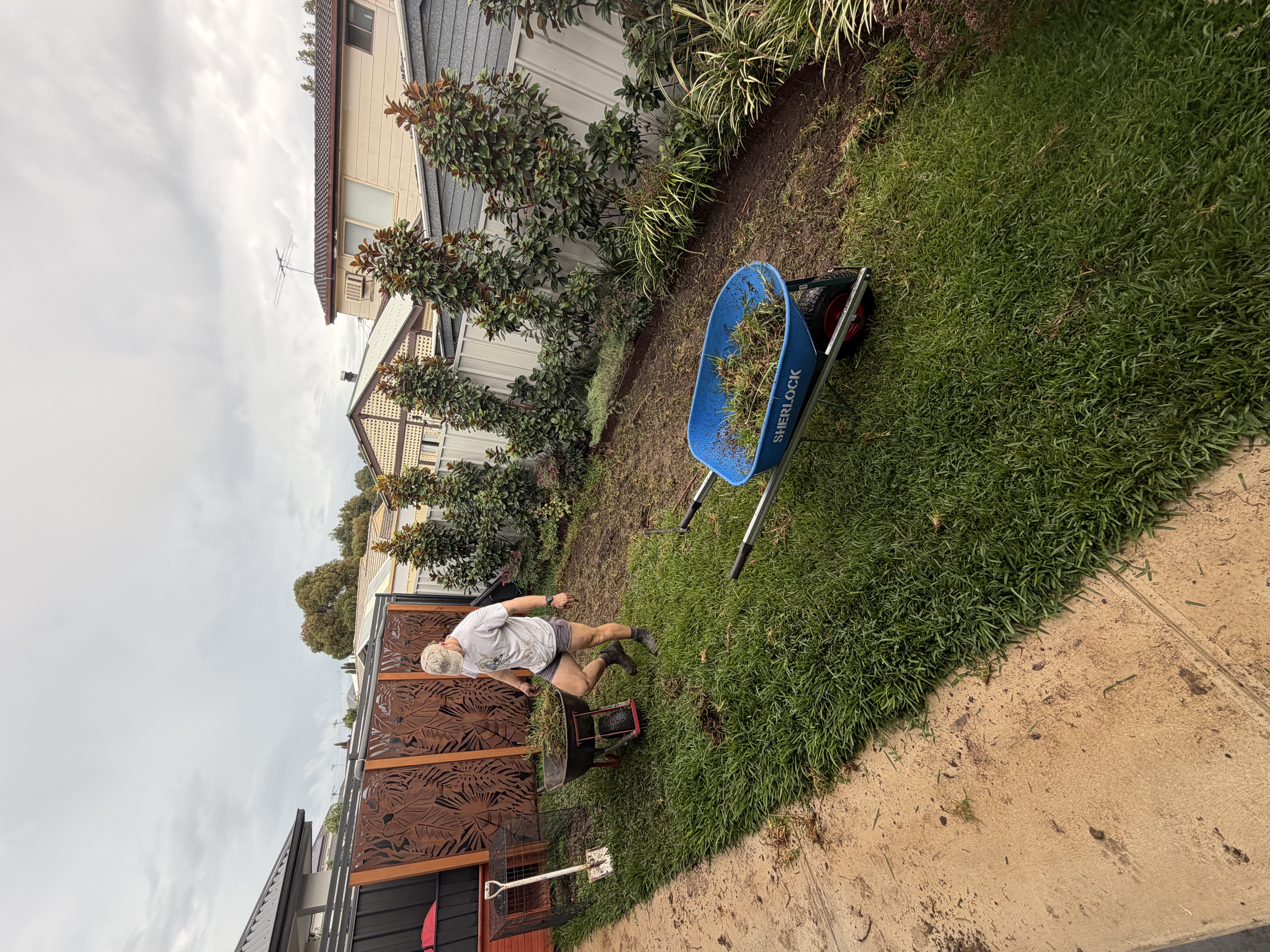 Tanner's Turf Project
